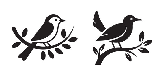 Blackbird Silhouettes on Branch Isolated on White