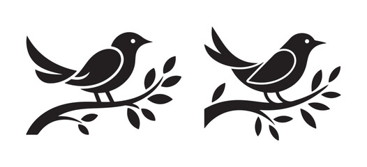 Blackbird on Branch Isolated on White Background