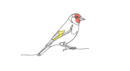 Goldfinch bird illustration with red and yellow markings  