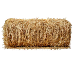 Rectangular hay bale dry grass farm feed element isolated on transparency background, ultra realistic texture, agricultural rural scene