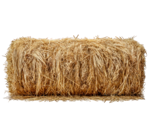 Rectangular hay bale dry grass farm feed element isolated on transparency background, ultra realistic texture, agricultural rural scene