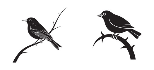 Bird Silhouette Isolated on White Background