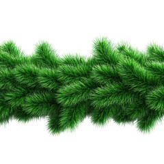 Obraz premium Lush green pine branches nature scene plant content view isolated on transparent background