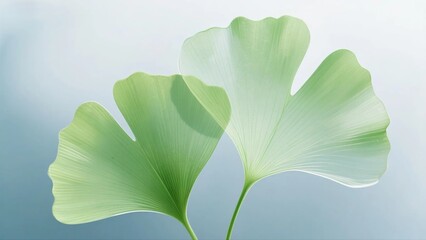 Twin Ginkgo Leaves on Soft Blue – Minimal Botanical, Zen Aesthetic