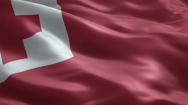 Tonga flag waving smoothly seamless loop realistic animation background