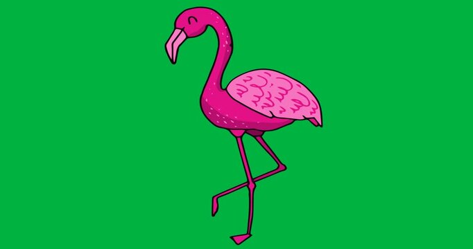 Cartoon flamingo graphic standing on one leg showcasing marketing asset with transparent background