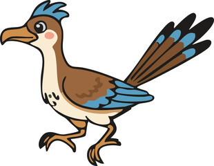 Roadrunner with crest and long striped tail