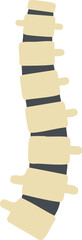 Human Spine Icon