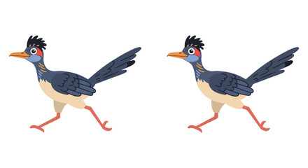 Two cartoon roadrunners running side by side animated motion sequence for wildlife graphics isolated on white background