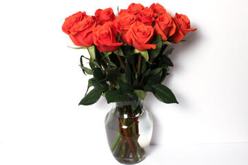 Bouquet of Orange Roses in Glass Vase on White Background
