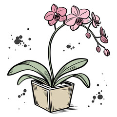 Vector art of handdrawn illustration of a pink orchid plant in a pot, with ink splatters