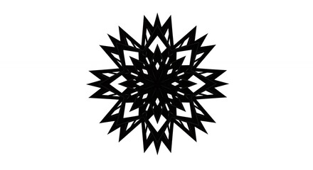 Ornate black and white snowflake design