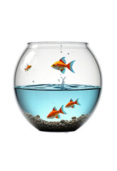 Round fishbowl with three goldfish