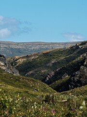 Obraz premium A vast green mountainous landscape under a blue sky. Rolling hills and a deep valley are covered in lush vegetation, with small hikers visible in the mid-ground and wildflowers in the foreground.