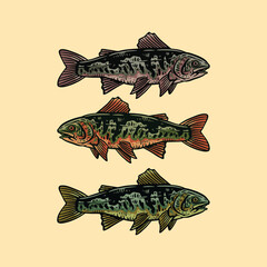 rainbow fish illustration vector design