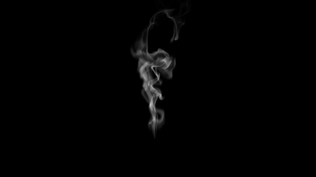 Realistic White Mist Smoke Overlay Animation. smoke rising from food or hot drink on transparent background. Natural steam rising upwards. white smoke rise vertically stock video.