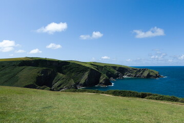 grassy cliffs in cornwall