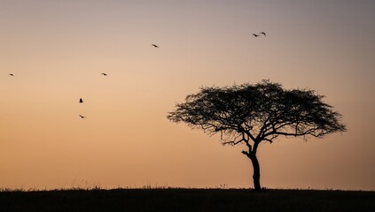 Solitary tree silhouette stands against a tranquil sunrise, with birds soaring peacefully in the pale sky.