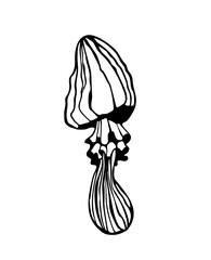 Vector illustration of a magic mushroom for witch's potions. Hand-drawn black and white graphic illustration for cards, notepads, stickers, and crafts.