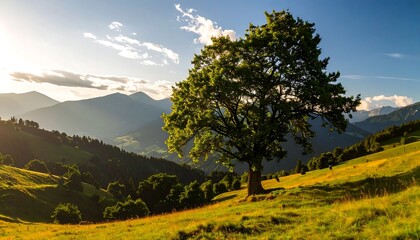 Majestic tree on a grassy hillside, mountain backdrop