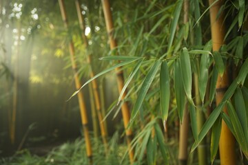 Obraz premium vibrant green bamboo leaves