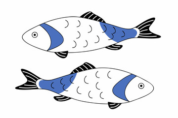 Fresh raw whole sea bass fish isolated on transparency background, minimal style illustration