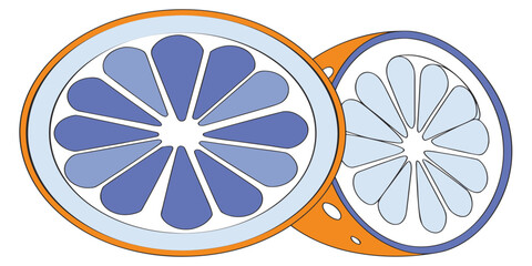 Vector fesh orange slices in minimal line art style, citrus fruit design for healthy food, juice, kitchen, summer, and tropical projects, clean outline style for recipes, food design, and culinary pro