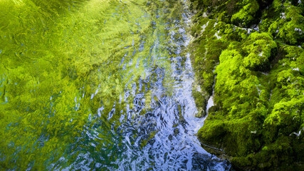 minimalist abstract green background with close up of clear water surface and mossy rock. clean natural background design with empty