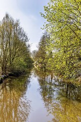 autumn trees reflected in water