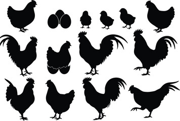 Chicken and rooster silhouettes collection with hen, chicks, and eggs, farm animals black vector illustration for agriculture and design