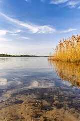 autumn landscape with lake
