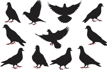 Silhouette of pigeons flying and standing, black bird vector illustration, urban dove wildlife design, animal shapes isolated on white background