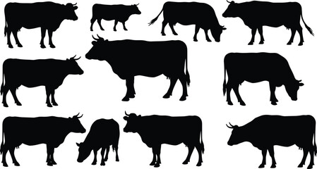 Cow silhouettes, farm animal vector, cattle illustrations, grazing cows, domestic livestock, black shapes, rural farming art, agriculture design, nature outline