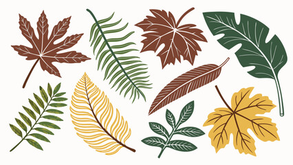 Obraz premium vector set of leaves