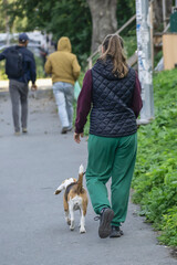A woman walks with a dog on the sidewalk on an autumn day