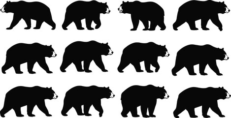Set of walking bear silhouette vector illustrations, black wildlife animal icons, grizzly predator clipart design, wild forest mammal drawings