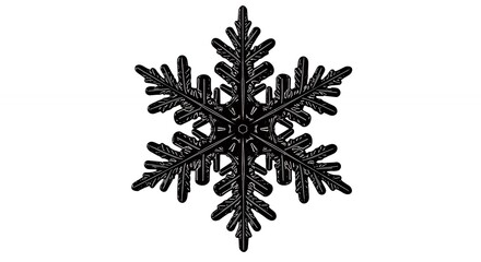 Black snowflake design