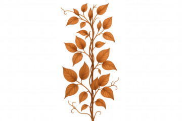 Autumn leaves vine illustration, fall season botanical plant drawing with transparent background