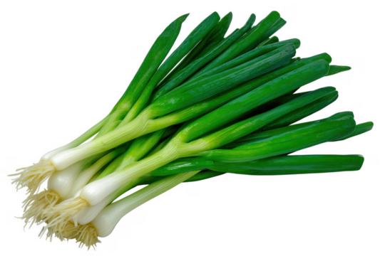 Fresh bunch of vibrant green spring onions isolated against a solid transparent background