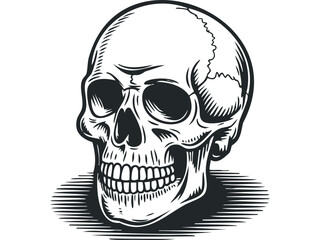 Fototapeta premium Black and White Skull with Hatch Mark Shadow. Vector hand drawn illustration