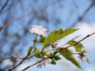 I wish I knew what's pulling you.