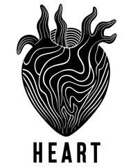 Vector art of stylized black and white illustration of a heart with abstract wavy lines and organic shapes