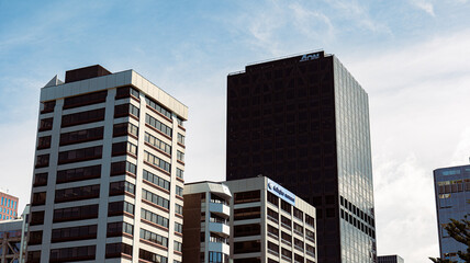 Naklejka premium Wellington 2025