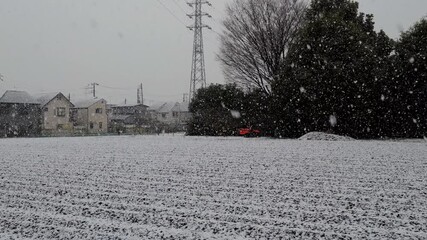 A spring snowfall in Tokyo's Nerimasu neighborhood. It's very common for snow to fall a few days before the arrival of warm weather in spring.