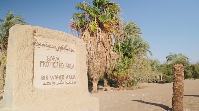 Palm trees and signpost stone at Bir Wahed protected area near Siwa Oasis in Sahara desert, Egypt