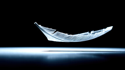 A white feather delicacy minimalism black background moody light soft shadow