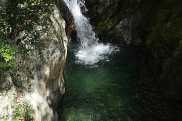 I wish I knew what's pulling you.