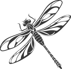 dragonfly on a white background