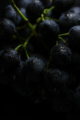 Fresh black grapes close up, organic fruit, healthy food