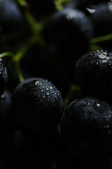 Fresh black grapes close up, organic fruit, healthy food